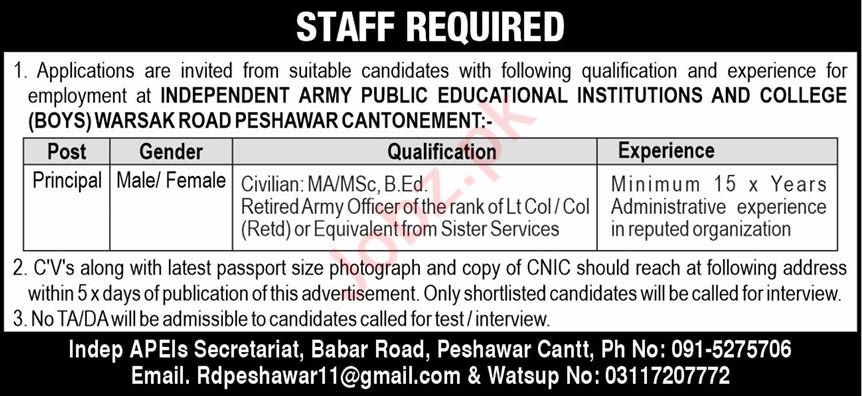 Employment at Army Public Schools