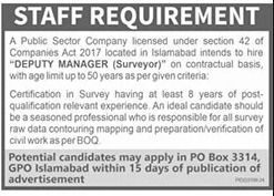 Jobs for Deputy Manager Surveyors in Public Sector Organizations