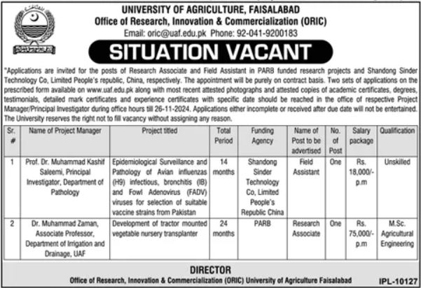 Employment at the University of Agriculture Faisalabad ORIC 2024