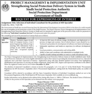 Karachi Jobs in the Sindh Social Protection Authority (SSPA) 2024