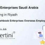 Mehboob Enterprises Overseas Employment Promoters