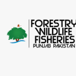 Forest Wildlife & Fisheries Department