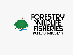 Forest Wildlife & Fisheries Department