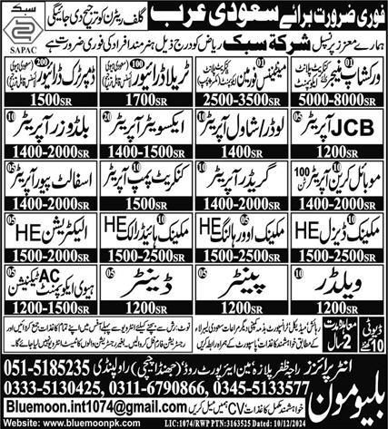 Blue Moon Enterprises Saudi Arabic Jobs 2024