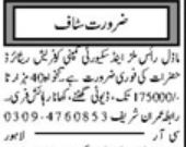 Jobs in Lahore for Model Rice Mills & Security by 2025