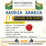 Mega Overseas Employment Recruiting Agency