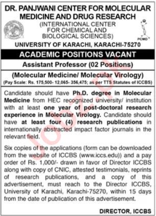 Jobs at the University of Karachi in  2025