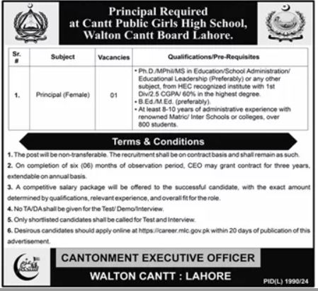 Job 2025 at Cantt Public Girls High School in Lahore