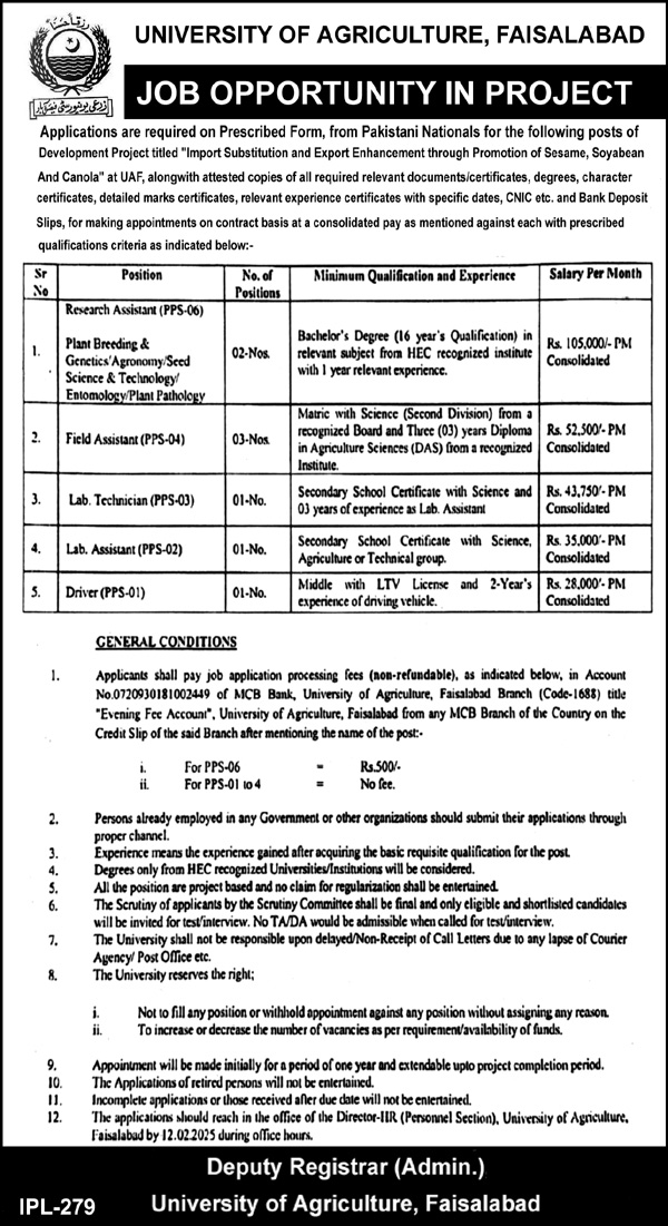 Jobs at the University of Agriculture (UAF) Faisalabad in 2025